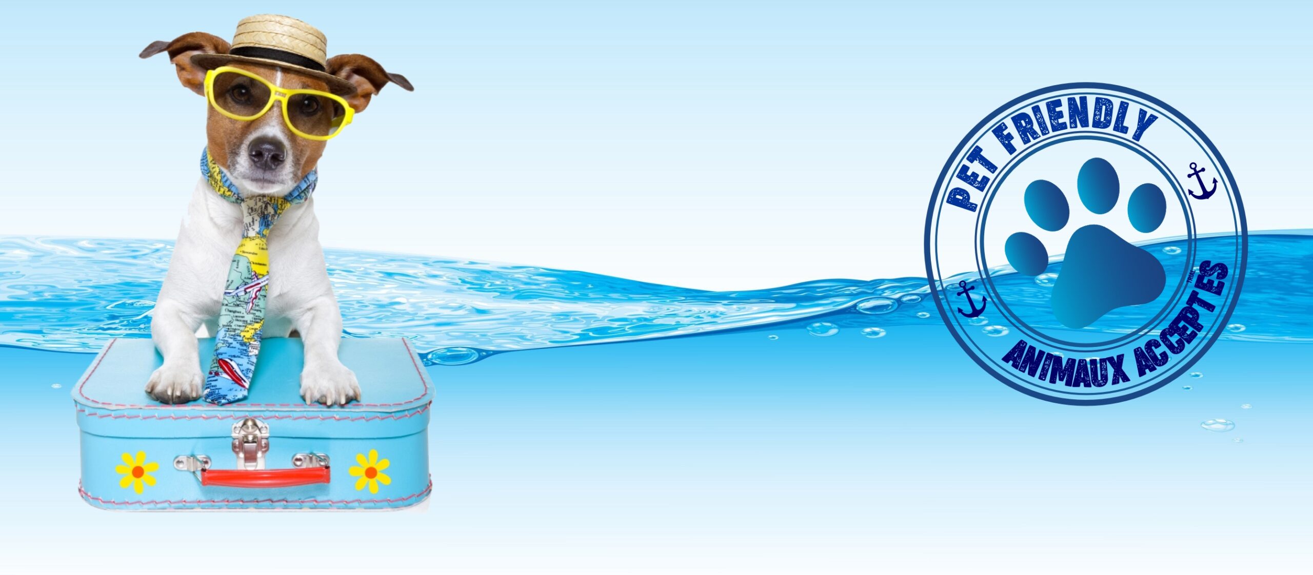 Dog Gone Fun Background